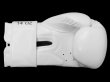 Photo7: BULL TERRIER Boxing Gloves BASIC White (7)