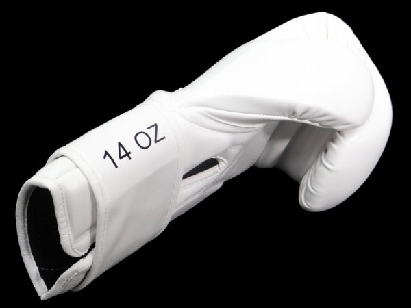 Photo3: BULL TERRIER Boxing Gloves BASIC White (3)