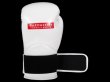Photo5: BULL TERRIER Boxing Gloves BASIC White (5)