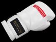 Photo6: BULL TERRIER Boxing Gloves BASIC White (6)