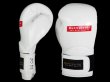 Photo2: BULL TERRIER Boxing Gloves BASIC White (2)