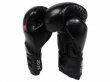Photo3: BULL TERRIER Boxing Gloves BASIC Black (3)