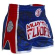 Photo2: FLUORY Muay Thai Shorts MTSF66 Blue (2)