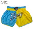 Photo1: FLUORY Muay Thai Shorts MTSF95 Blue/Yellow (1)