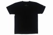 Photo2: BULL TERRIER T-Shirt Komon Black (2)