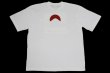 Photo2: BULL TERRIER Big Silhouette T-shirt Mt Fuji White (2)