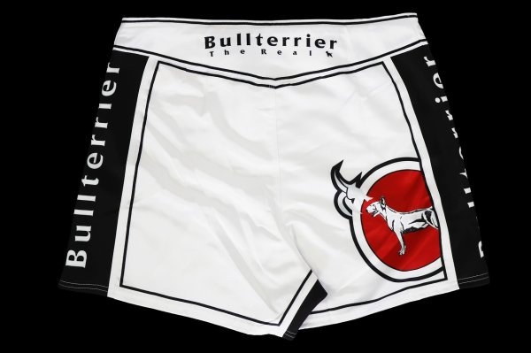 Photo5: BULL TERRIER Fight Shorts Short Fit TRADITIONAL  White (5)