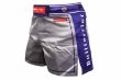 Photo1: BULL TERRIER Fight Shorts Short Fit TRADITIONAL  Gray/Navy (1)