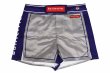 Photo4: BULL TERRIER Fight Shorts Short Fit TRADITIONAL  Gray/Navy (4)