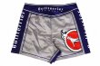 Photo5: BULL TERRIER Fight Shorts Short Fit TRADITIONAL  Gray/Navy (5)