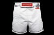 Photo2: BULL TERRIER Fight Shorts Short Fit TRADITIONAL  White (2)