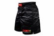 Photo2: BULL TERRIER Fight Shorts Dojo Outfitters COLLAB Black (2)