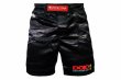 Photo1: BULL TERRIER Fight Shorts Dojo Outfitters COLLAB Black (1)