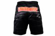 Photo3: BULL TERRIER Fight Shorts Dojo Outfitters COLLAB Black (3)