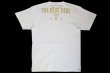 Photo2: BULL TERRIER T-Shirt TRD White (2)