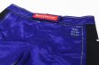 Photo6: BULL TERRIER Fight Shorts RANK 2.0 Blue (6)