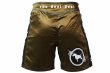 Photo3: BULL TERRIER Fight Shorts RANK 2.0 Brown (3)