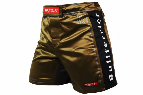 Photo1: BULL TERRIER Fight Shorts RANK 2.0 Brown (1)