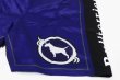 Photo7: BULL TERRIER Fight Shorts RANK 2.0 Blue (7)