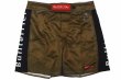 Photo4: BULL TERRIER Fight Shorts RANK 2.0 Brown (4)