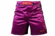 Photo2: BULL TERRIER Fight Shorts RANK 2.0 Purple (2)