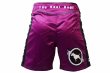 Photo3: BULL TERRIER Fight Shorts RANK 2.0 Purple (3)