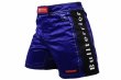 Photo1: BULL TERRIER Fight Shorts RANK 2.0 Blue (1)