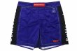 Photo4: BULL TERRIER Fight Shorts RANK 2.0 Blue (4)