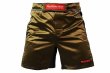 Photo2: BULL TERRIER Fight Shorts RANK 2.0 Brown (2)