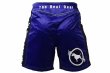 Photo3: BULL TERRIER Fight Shorts RANK 2.0 Blue (3)