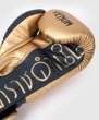 Photo8: VENUM x RAJADAMNERN Boxing Glove Sand (8)