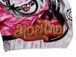 Photo5: FLUORY Muay Thai Shorts MTSF80 White/Pink (5)