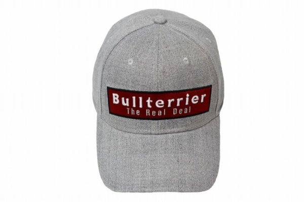 Photo1: BULL TERRIER Cap BOX LOGO Gray (1)