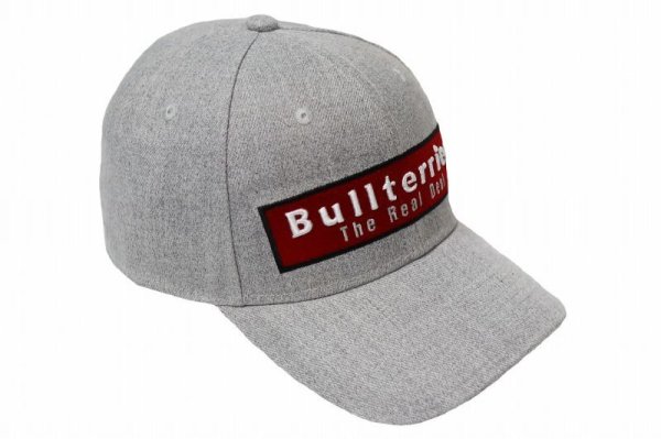 Photo3: BULL TERRIER Cap BOX LOGO Gray (3)