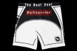 Photo5: BULL TERRIER Spats TRADITIONAL 2.0 White (5)