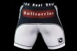 Photo3: BULL TERRIER Spats TRADITIONAL 2.0 White (3)