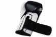 Photo4: BULL TERRIER Boxing Gloves TREINAMENTO 3.0 Black/White (4)