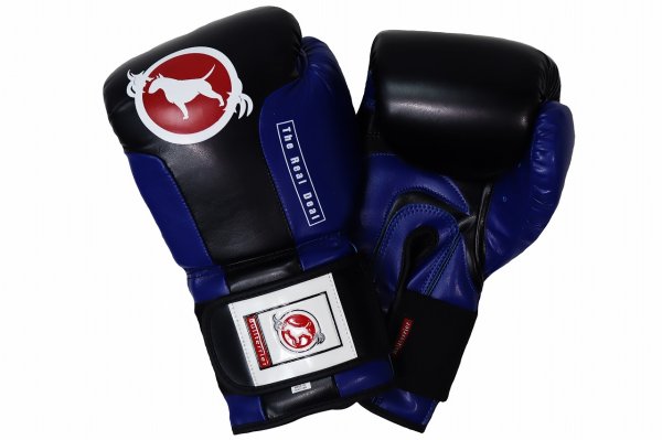 Photo2: BULL TERRIER Boxing Gloves TREINAMENTO 3.0 Black/Blue (2)