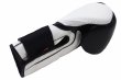 Photo5: BULL TERRIER Boxing Gloves TREINAMENTO 3.0 Black/White (5)