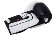 Photo6: BULL TERRIER Boxing Gloves TREINAMENTO 3.0 Black/White (6)