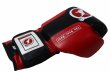 Photo3: BULL TERRIER Boxing Gloves TREINAMENTO 3.0 Black/Red (3)