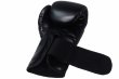 Photo4: BULL TERRIER Boxing Gloves TREINAMENTO 3.0 Black (4)