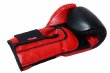 Photo6: BULL TERRIER Boxing Gloves TREINAMENTO 3.0 Black/Red (6)