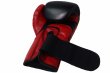 Photo4: BULL TERRIER Boxing Gloves TREINAMENTO 3.0 Black/Red (4)
