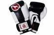 Photo2: BULL TERRIER Boxing Gloves TREINAMENTO 3.0 Black/White (2)