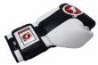 Photo3: BULL TERRIER Boxing Gloves TREINAMENTO 3.0 Black/White (3)