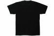 Photo2: BULL TERRIER T-Shirt 4BOX Black (2)
