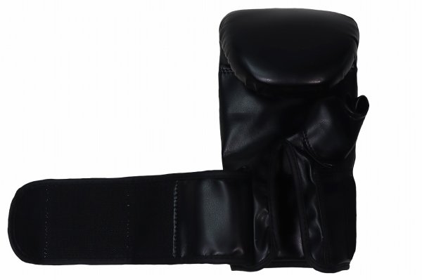 Photo4: BULL TERRIER Punching Gloves 2.0 Black (4)