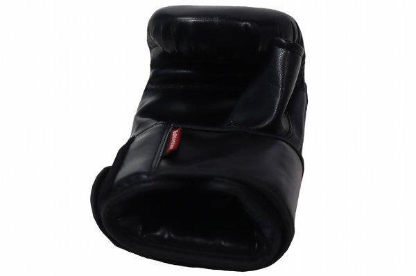 Photo7: BULL TERRIER Punching Gloves 2.0 Black (7)