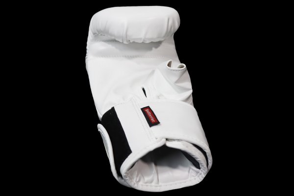 Photo6: BULL TERRIER Punching Gloves 2.0 White (6)